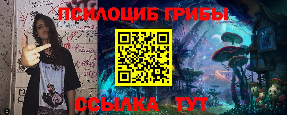 Новодвинск  Псилоцибиновые грибы мухоморы  Вход с VPN 